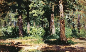 一晃就老，别总争争吵吵